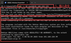 Featured image of post ssh工具的连接与使用